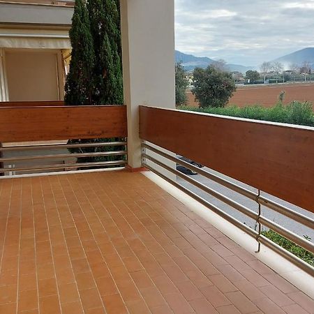 סן וינצ'נזו Appartamento Santa Costanza Con Piscina מראה חיצוני תמונה